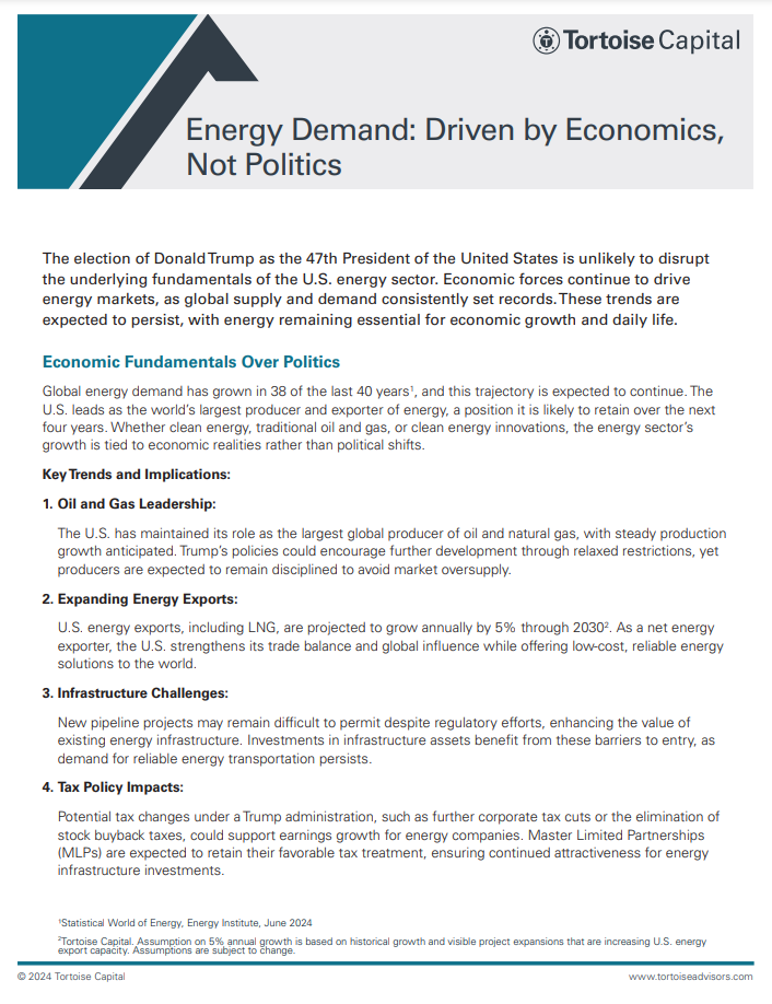 Insights image - Energy Demand Driven by Economics Not Politics